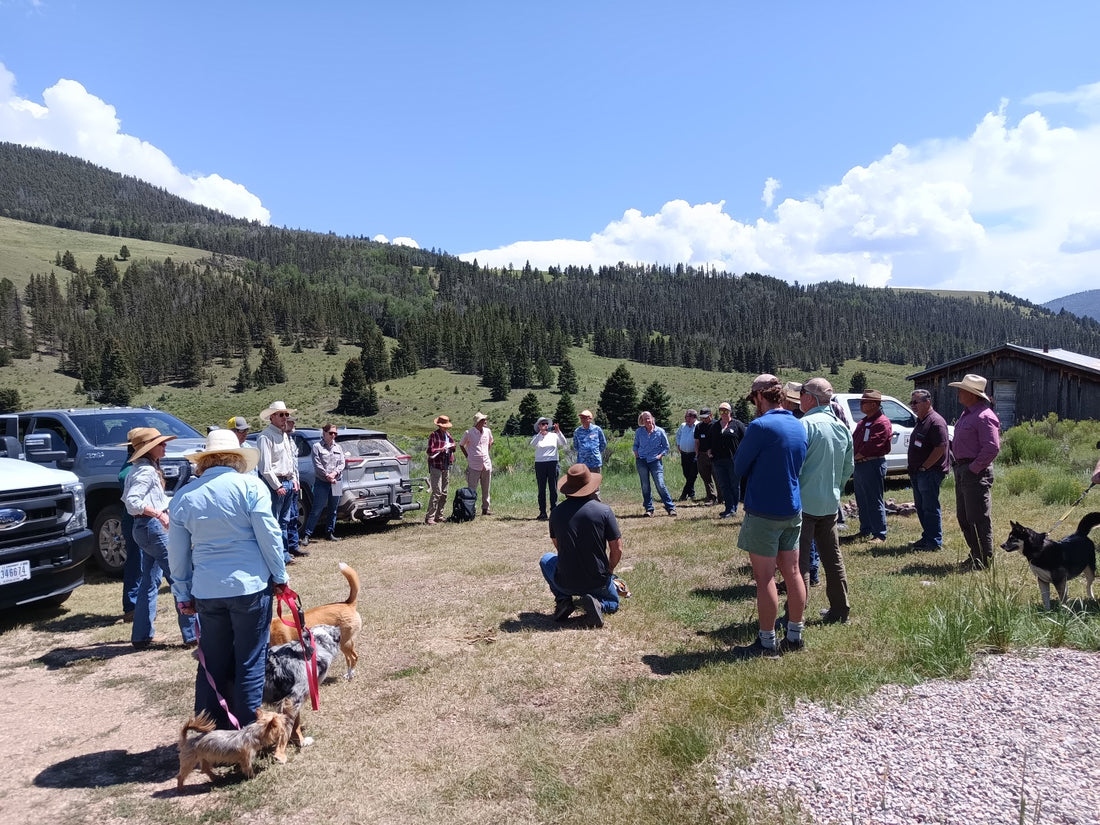 PUBLIC LANDS GRAZING: Relations, Collaborations, Resilience